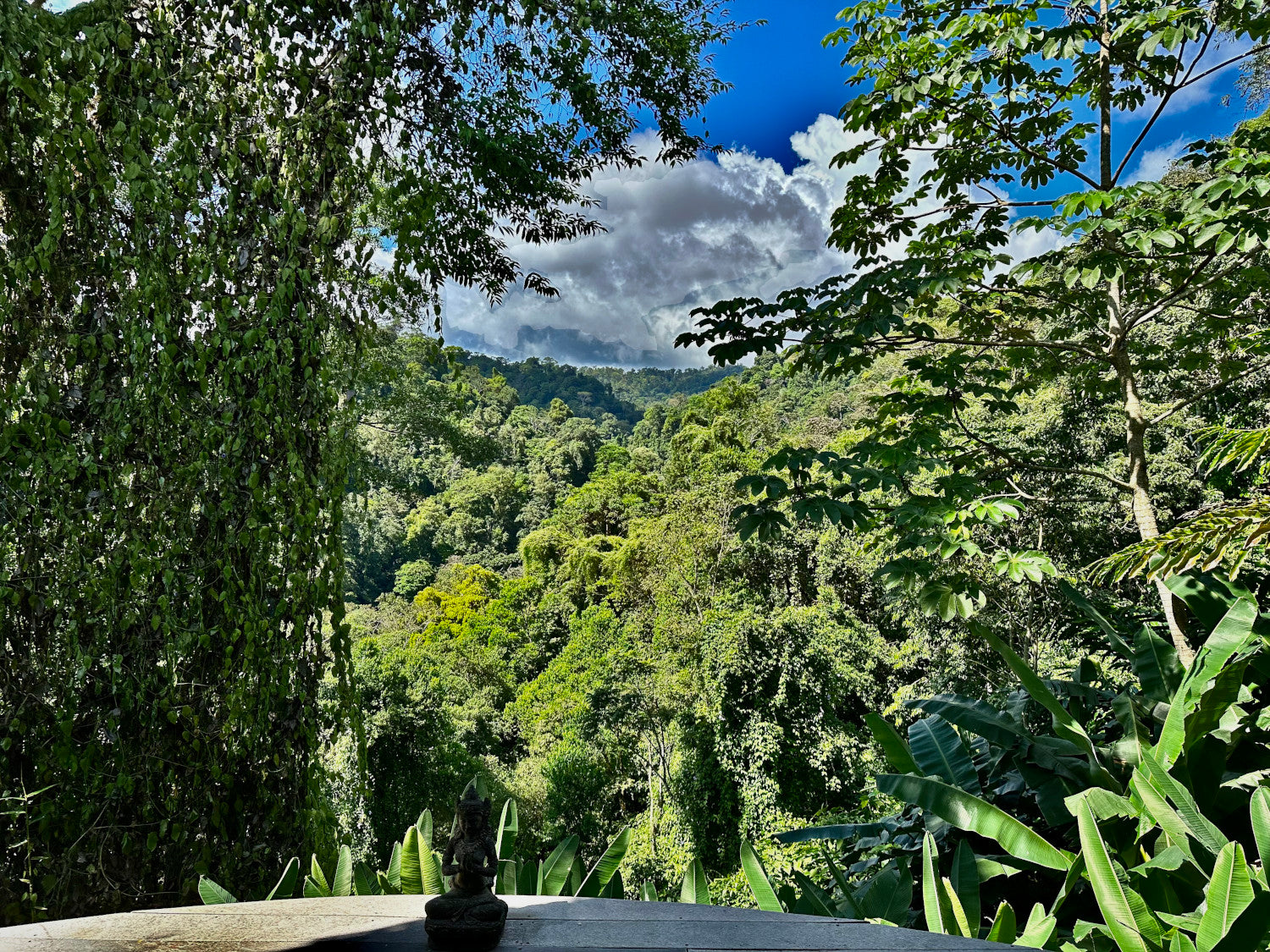 Fed up of the weather? Have a read of this to inspire your 2024 travels.