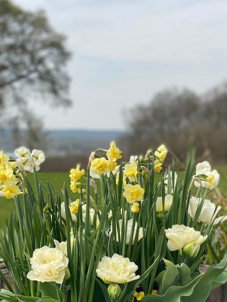 Is Mothering Sunday just another 'Hallmark Holiday' ?